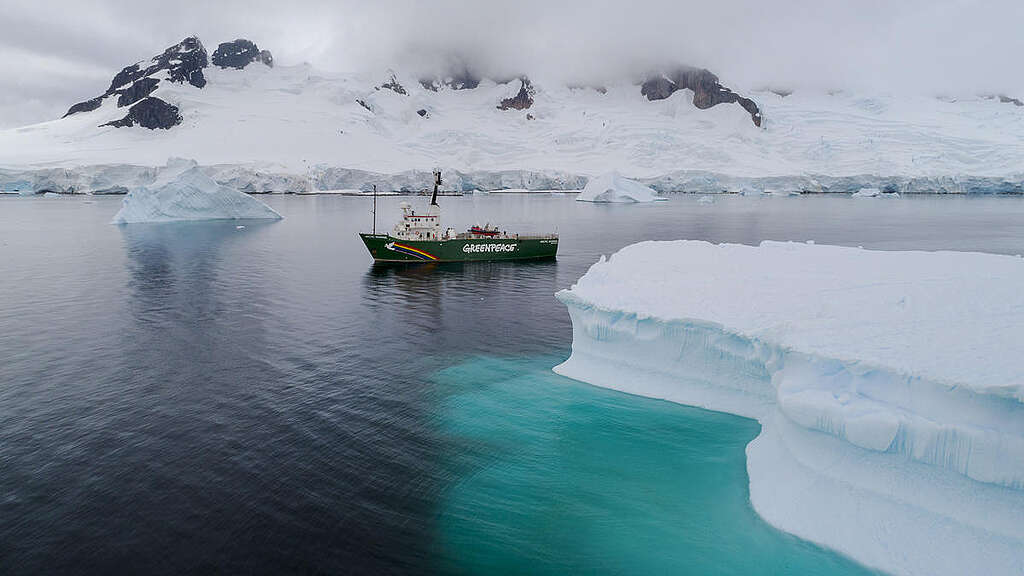 Greenpeace ship the Arctic Sunrise in Charlotte Bay, Antarctic Peninsula. Greenpeace is on a three-month expedition to the Antarctic to carry out scientific research, including seafloor submarine dives and sampling for plastic pollution, to highlight the urgent need for the creation of a 1.8 million square kilometre Antarctic Ocean Sanctuary to safeguard species like whales and penguins.