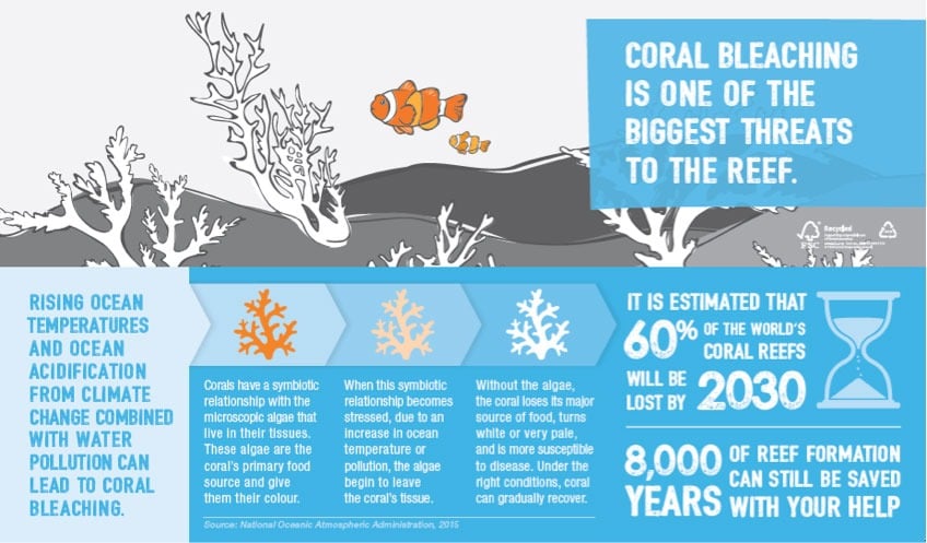 Infographic about coral bleaching. It is estimated that 60% of the world's coral reefs will be lost by 2030.