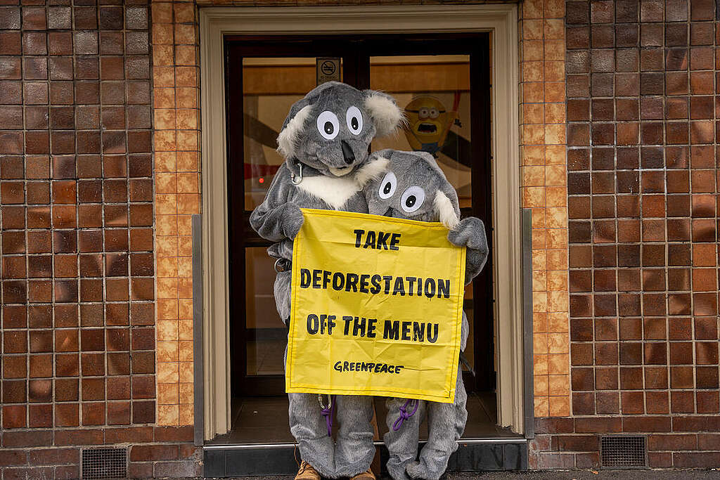 Koala-themed Deforestation Action at Clifton Hill McDonald’s, Melbourne. © Greenpeace
