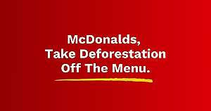 McDonalds, Take Deforestation Off The Menu