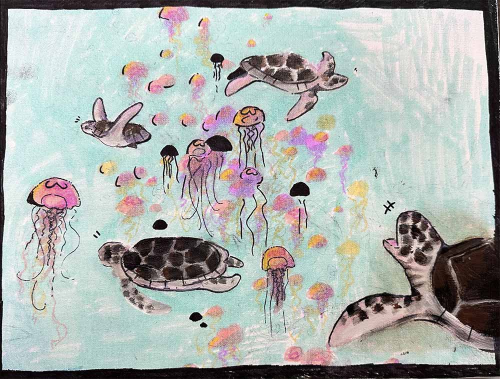 Wild Sea Turtles Consuming Jellyfish
Koco