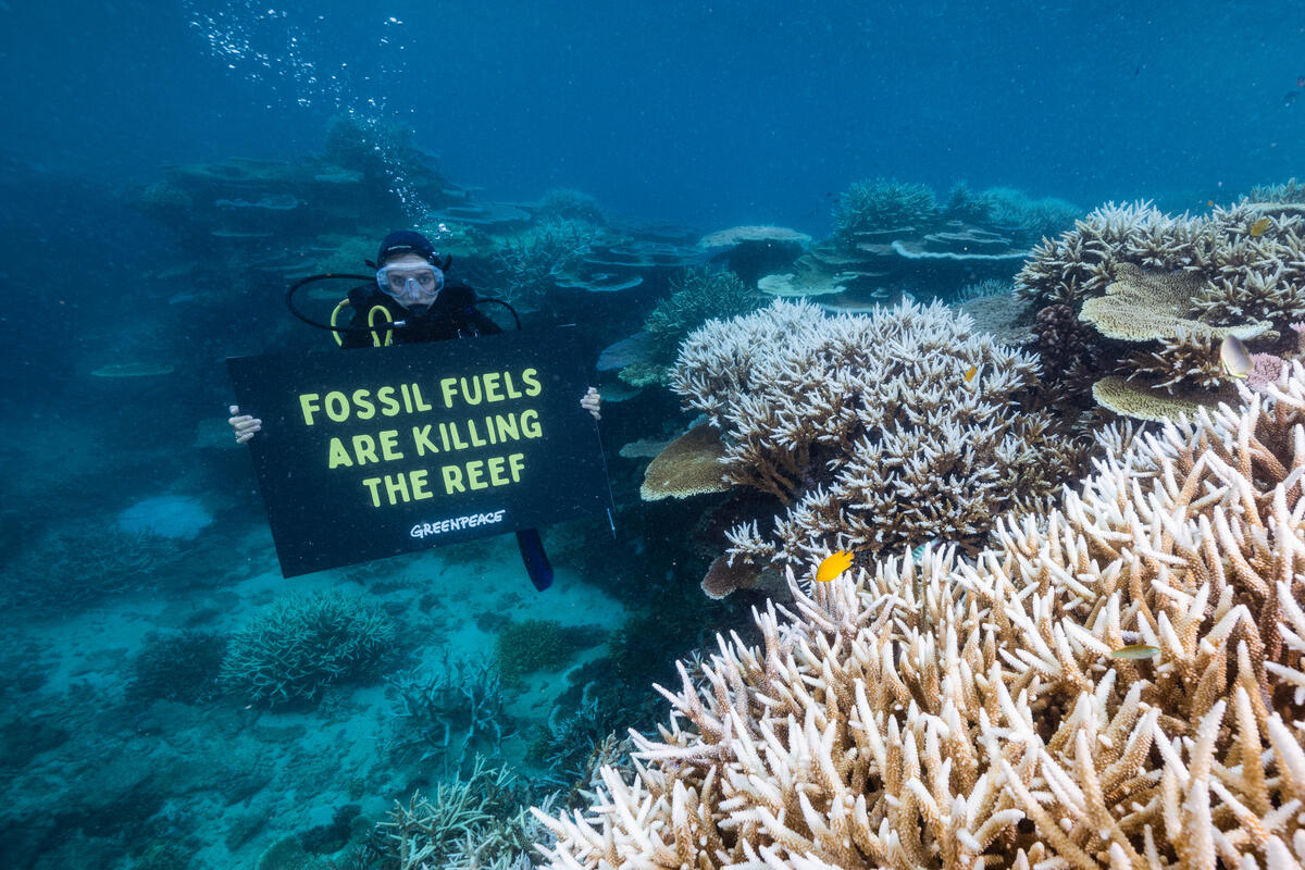 Great Barrier Reef during a Marine Heatwave