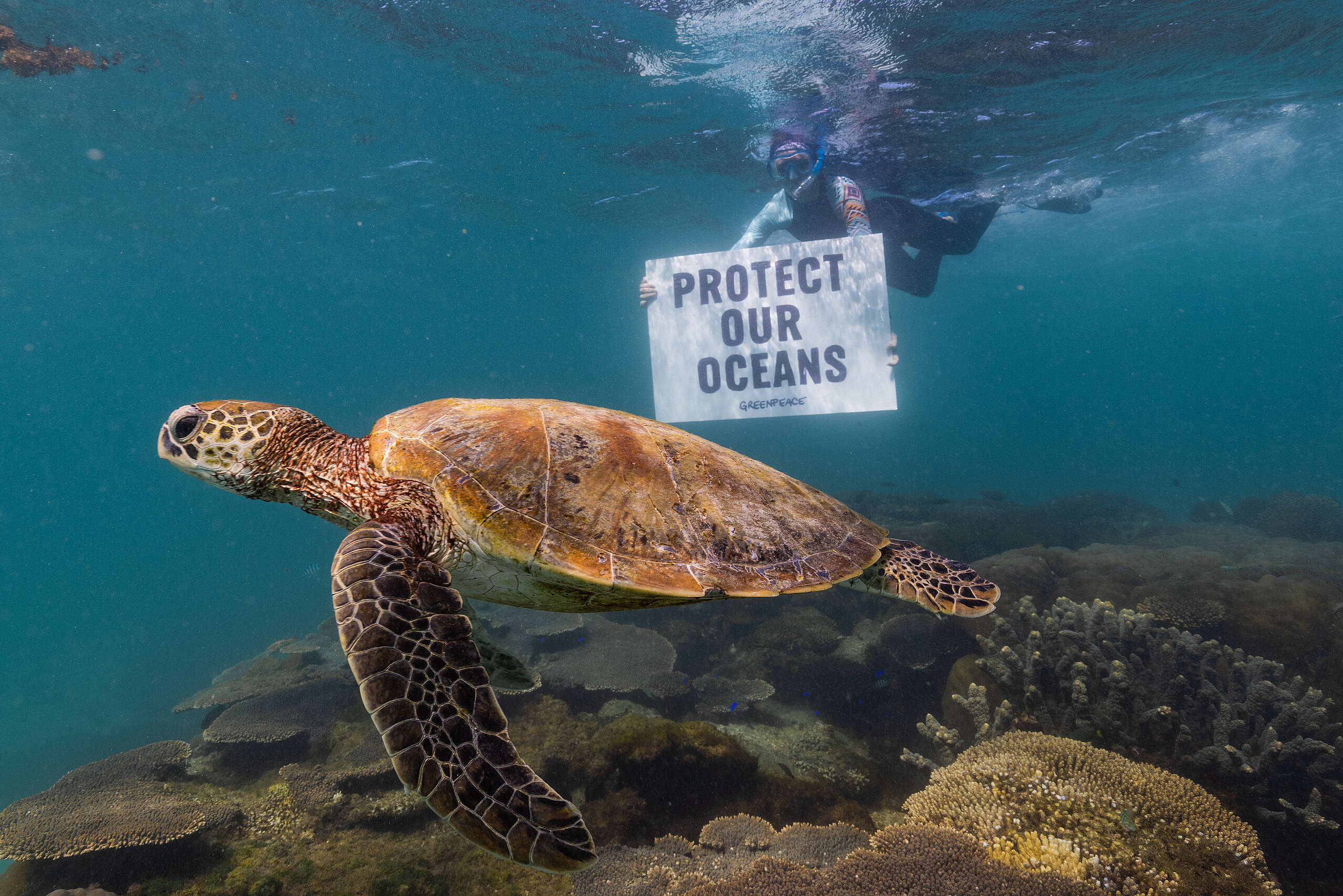 Global Oceans Treaty