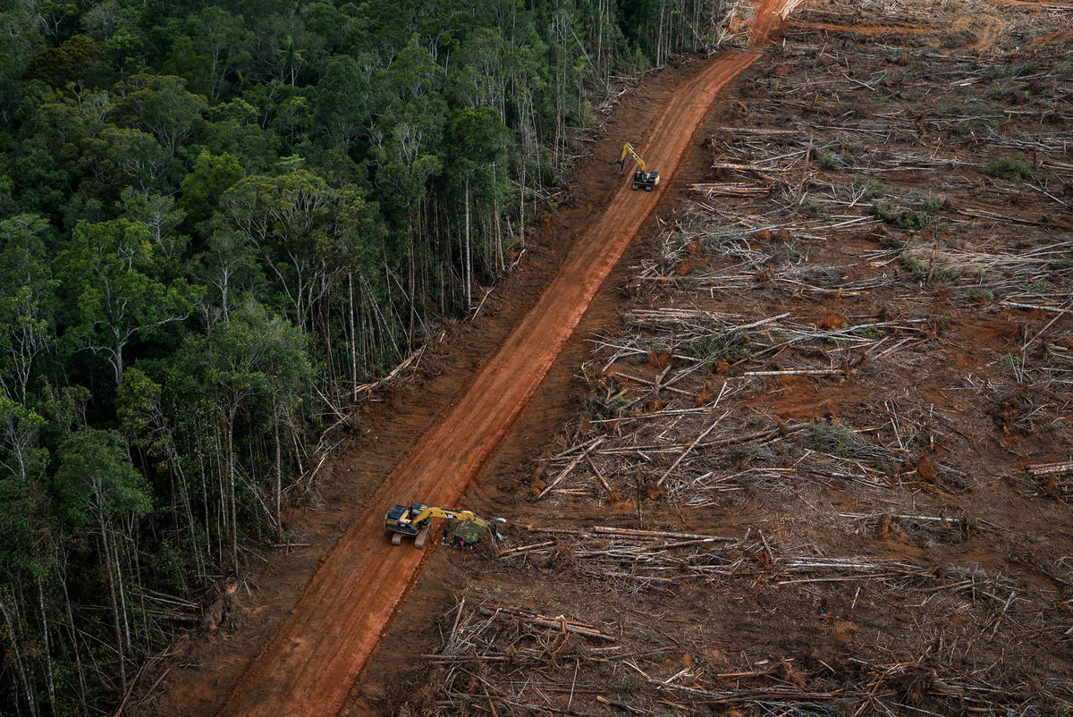 Deforestation in Australia