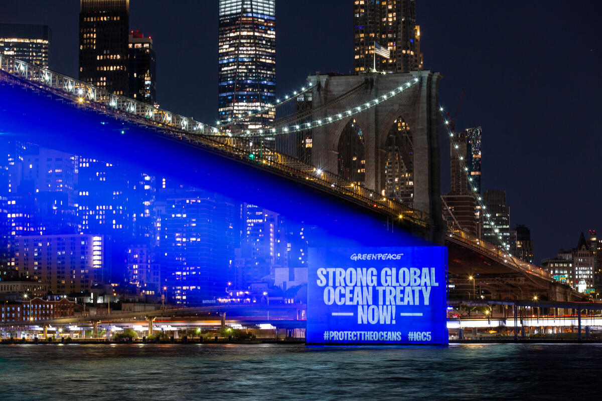 Protect the Oceans Projection onto Brooklyn Bridge. ©  POW / Greenpeace