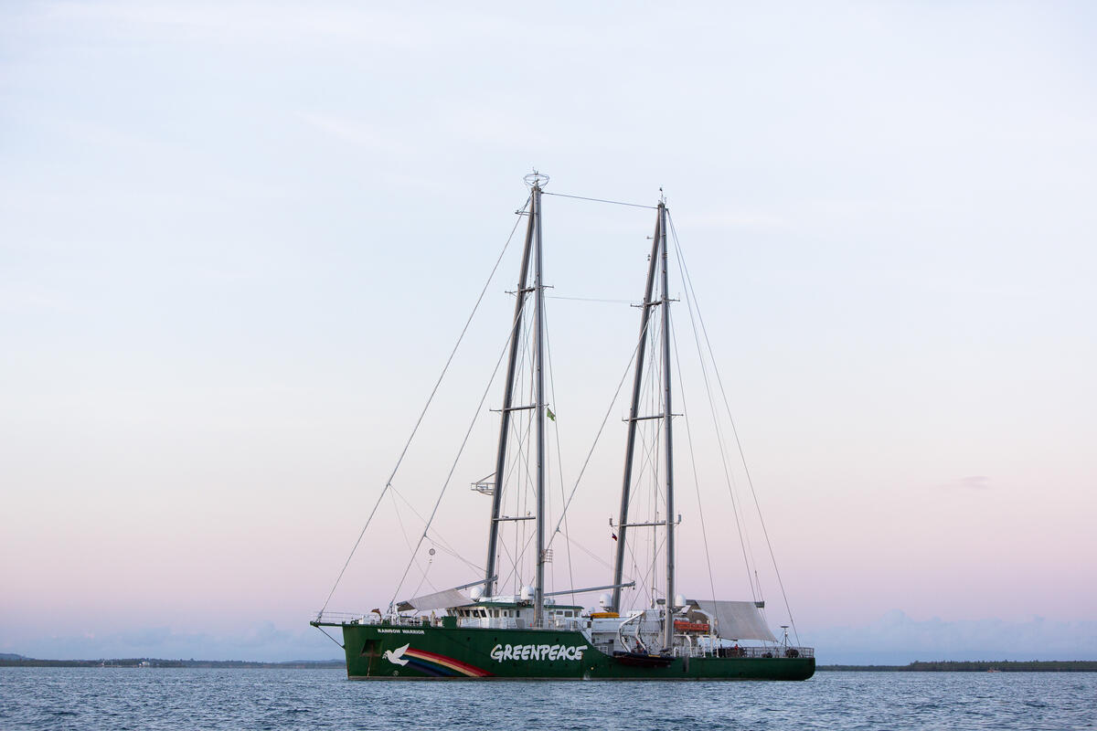 The iconic Greenpeace ship Rainbow Warrior at anchor.