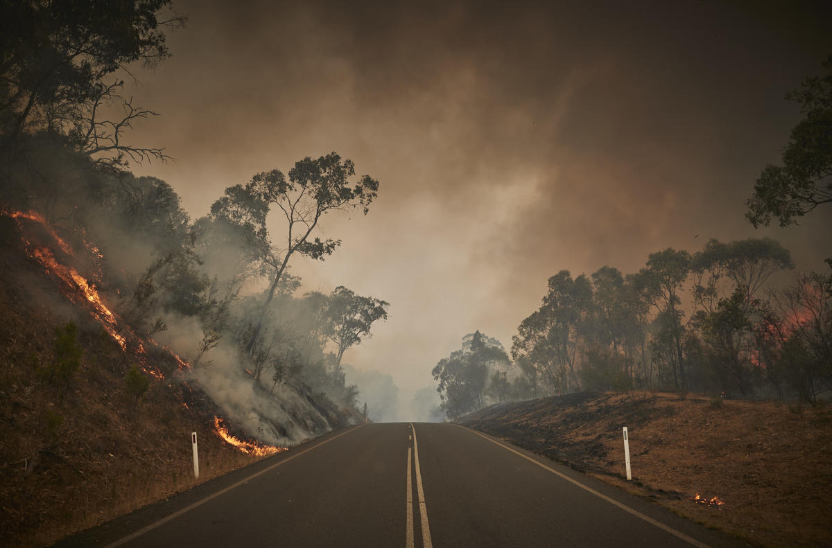 Fire burns both sides of the highway on the outskirts of the small town of Tumbarumba in the Snowy Mountains, NSW. Australia has seen unprecedented bushfires after 2019 was recorded as both the hottest and driest year on record.