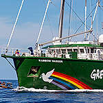 RHIBS are launched for boat practise from the Rainbow Warrior in the Pacific.

The Greenpeace ship is in the Pacific to bear witness to the deep sea mining industry. Part of the ongoing 'Protect the Oceans' campaign.