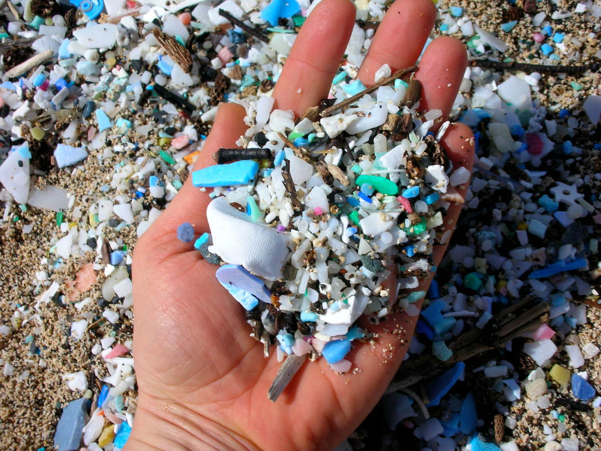 Close up of microplastics found on beach.