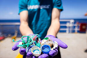 A member of the Greenpeace Crew holds up some of the plastic retrieved from the Sargasso Sea.