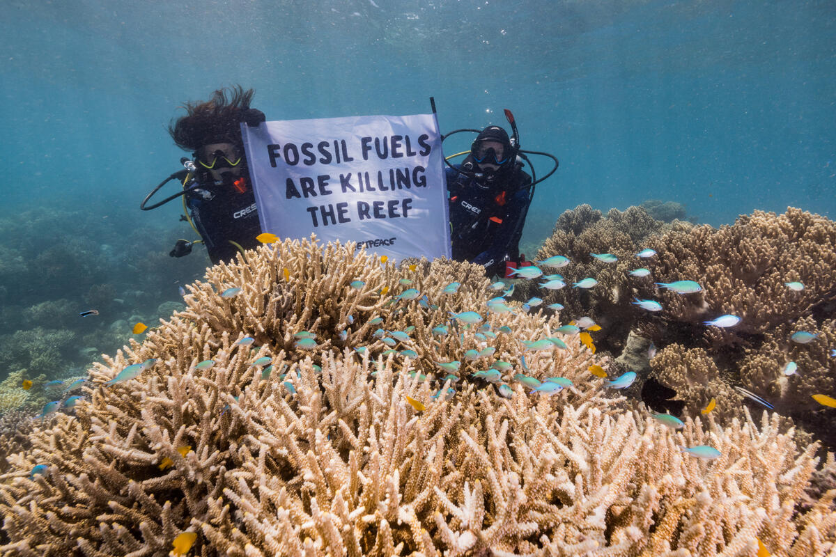 How will the Great Barrier Reef cope with climate change impacts?