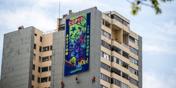 Greenpeace activists drop a banner in Cali, Colombia that reads "Action for Nature now!"