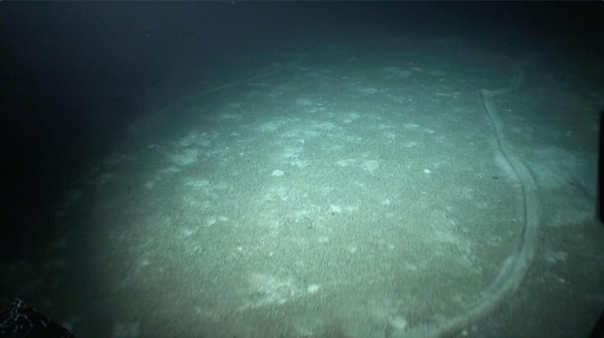 Bottom Trawl damage on Emperor Seamount in the Pacific Ocean