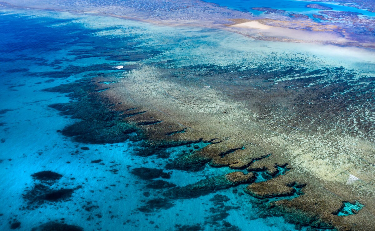 Great Barrier Reef. © Paul Hilton / Greenpeace