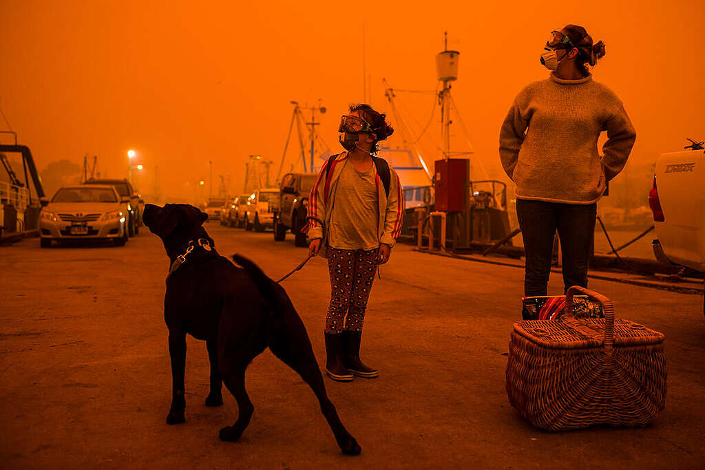 Bushfire impacts in Australia. Eden residents prepare to take shelter aboard a tug boat at the town's wharf, rather than evacuating north, by road, as the vast majority of residents have, as the Border Fire, burning to the south of Eden, threatened the town.