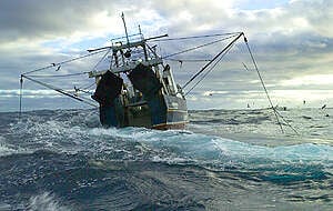 Trawling Documentation in the Pacific Ocean. © Greenpeace / Roger Grace