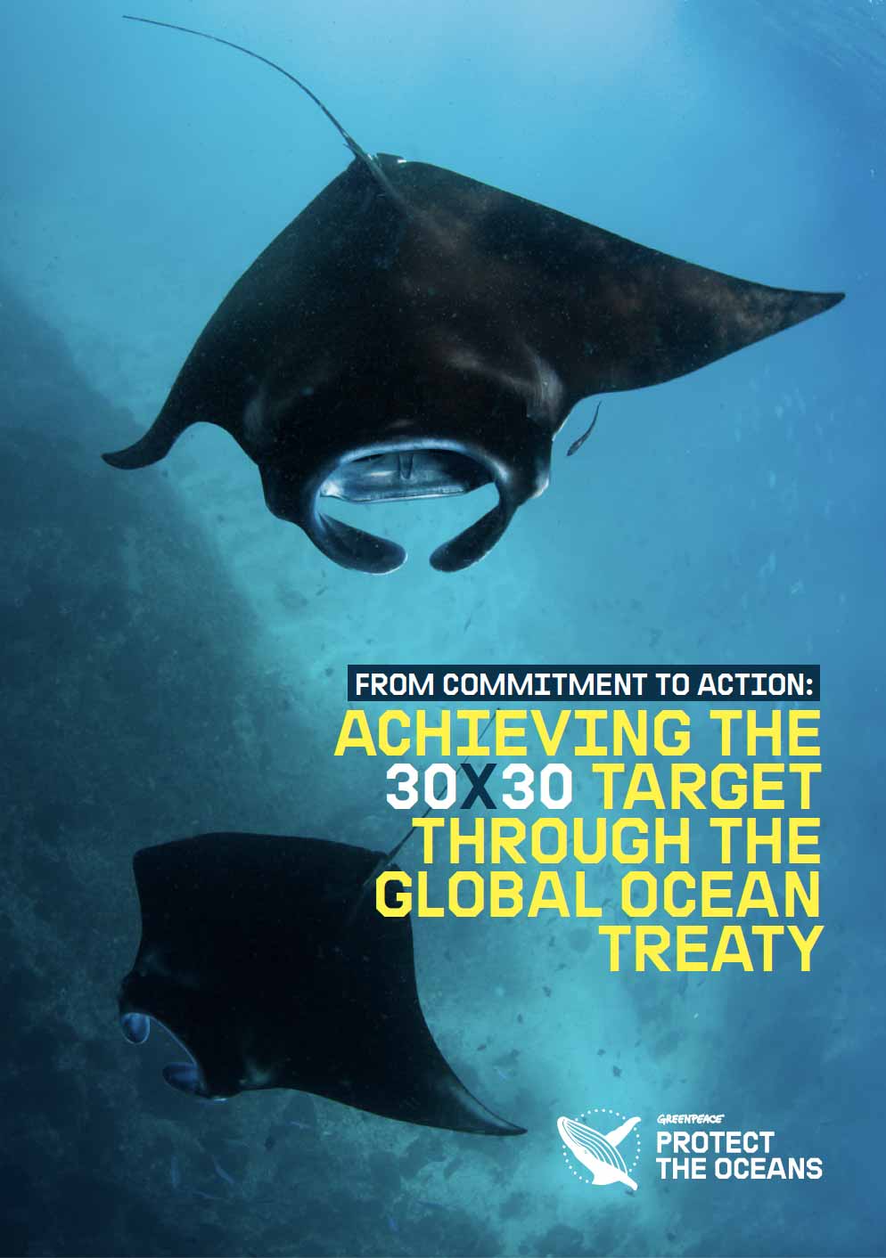 From Commitment to Action - Achieving the 30×30 target through the Global Ocean Treaty