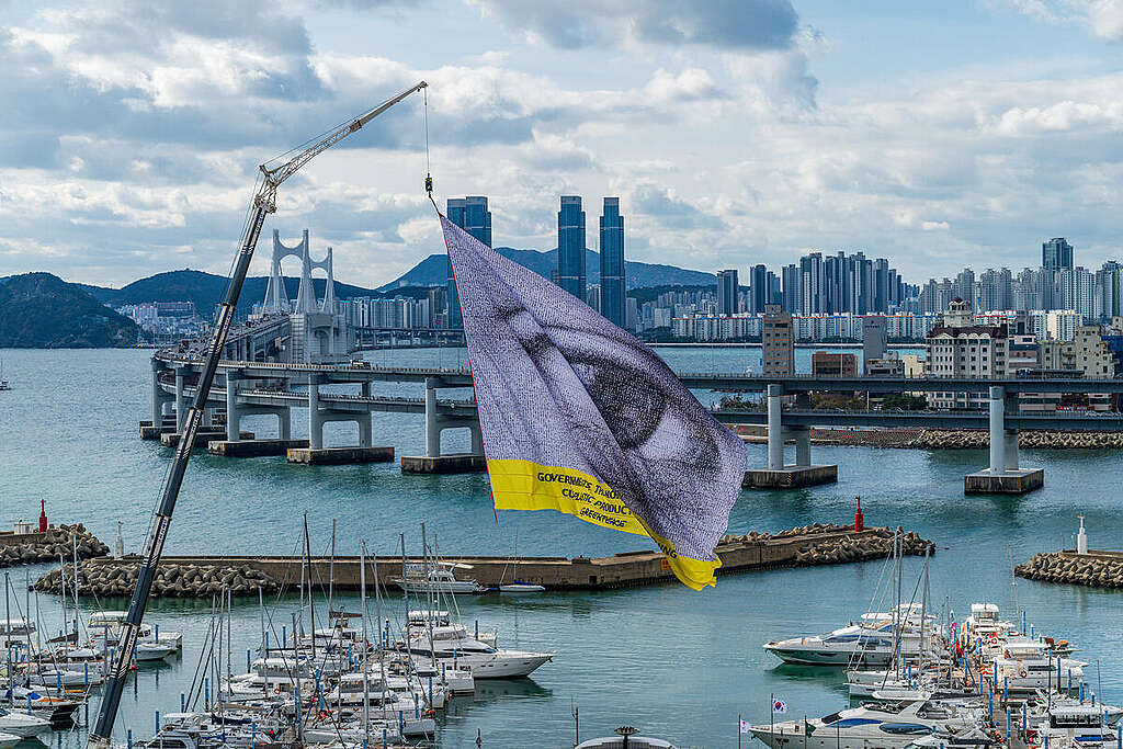 #WeAreWatching Flag at INC-5 in Busan, South Korea. © Greenpeace / Sungwoo Lee