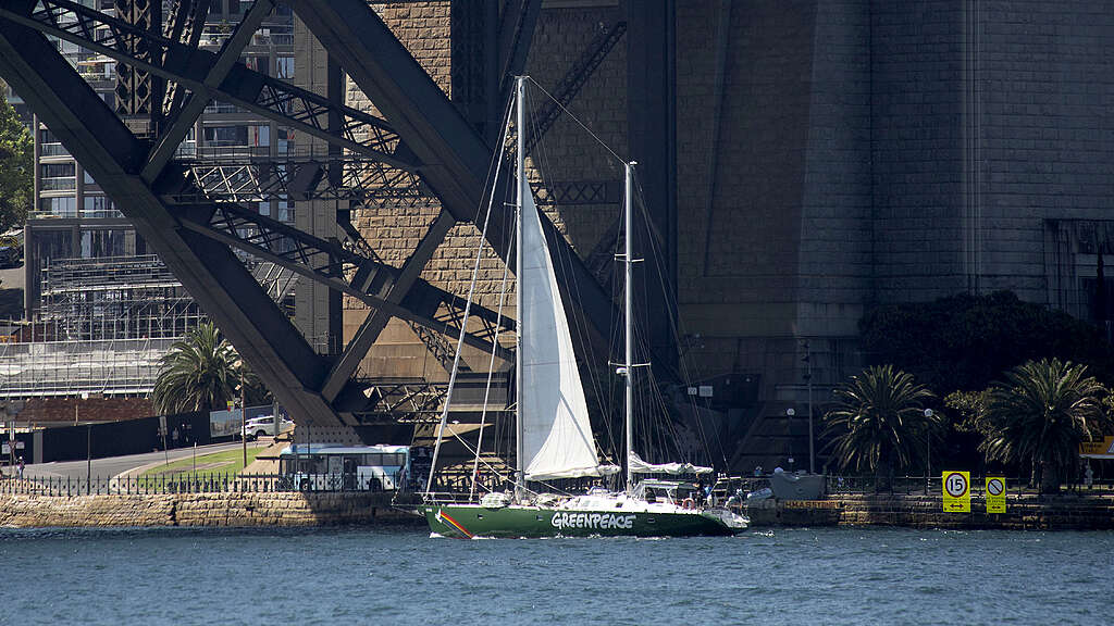 Greenpeace Australia Pacific's first ever campaigning vessel sails into Sydney Harbour following an appearance at the Rising Tide Protestival in Newcastle