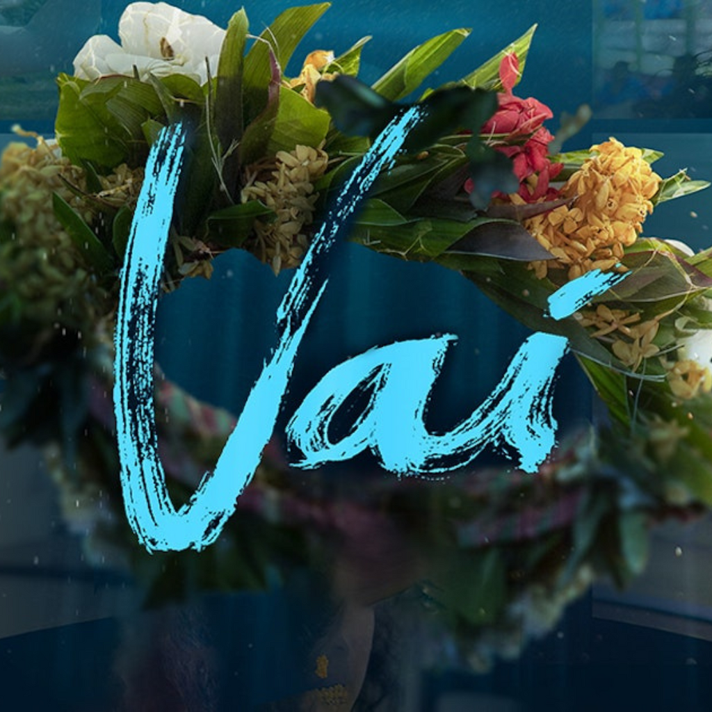 Vai documentary