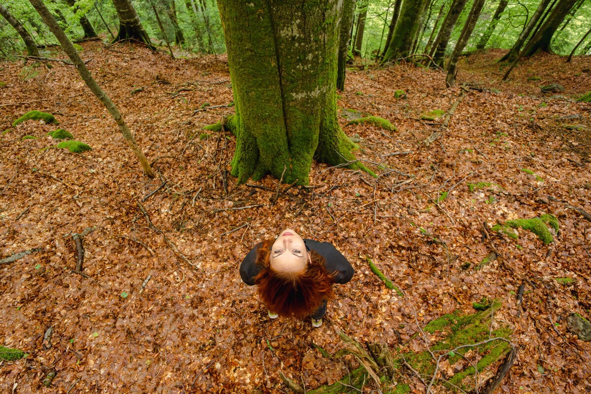 Carpathian Forests in Romania. © Răzvan Dima / Greenpeace