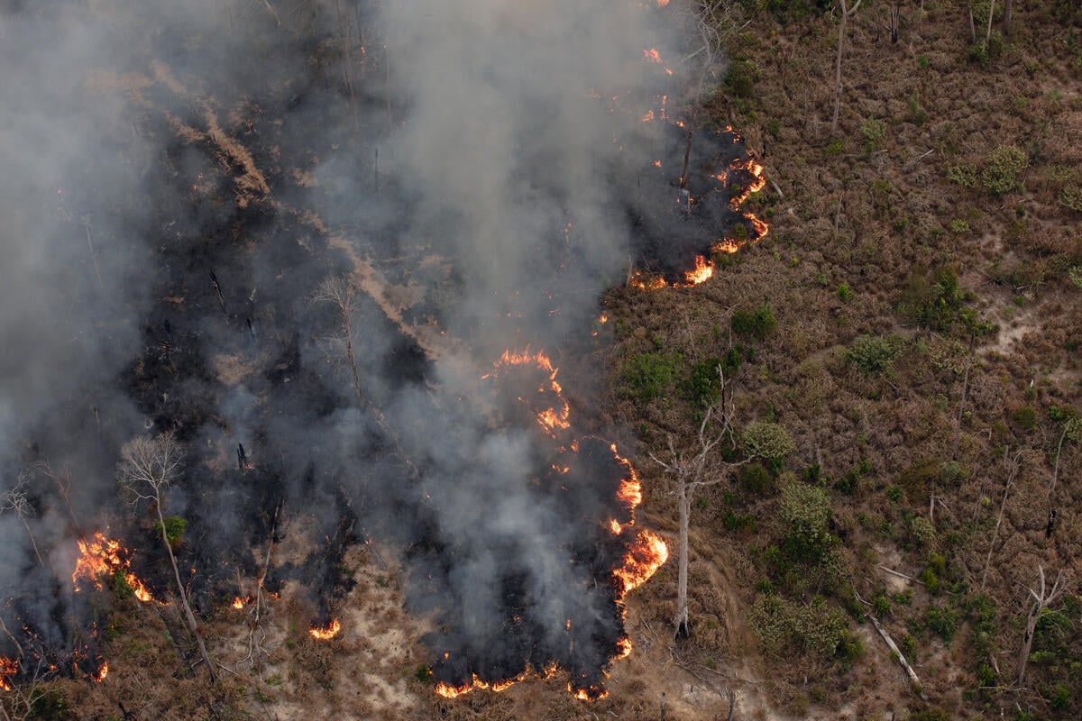 Monitoring of Deforestation and Fires in the Amazon. © Marizilda Cruppe / Greenpeace